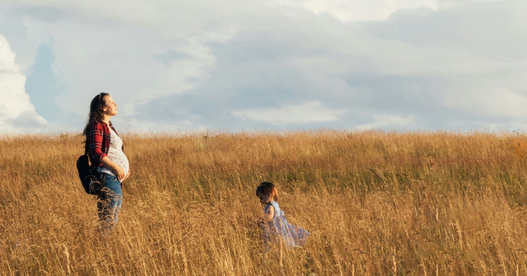 Family Law in Transition: Why Deeper Awareness Is Now Essential