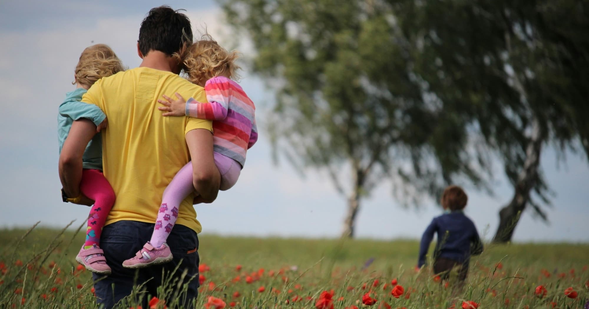 Family Court Reform: Rethinking Parental Involvement and Child Protection